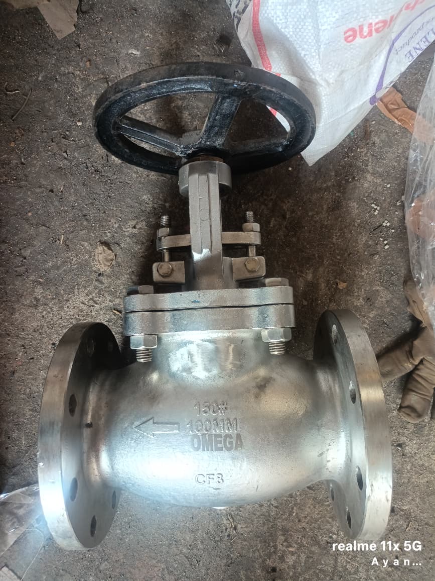 Globe Valve