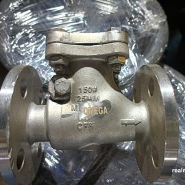 Non Return Valve/ Check Valve